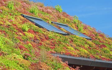 Easter Binzean living roof systems
