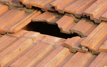 roof repair Easter Binzean, Perth And Kinross